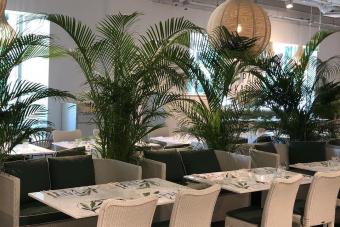 Image for New Pano Kato Outlet at Tanglin Mall artilce