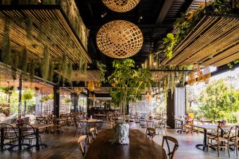 Image for New Canopy Dining Outlet at HortPark artilce