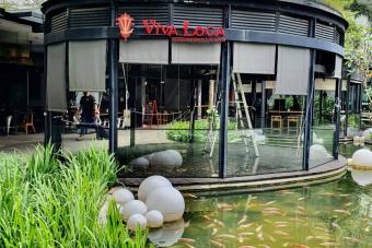 Image for New Viva Loca Outlet at Changi City Point artilce